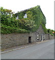 Ivy-clad house, Troedyrhiw