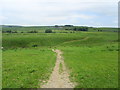 Pennine Bridleway approaching Hullown Beck