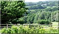 View over Weald near Hellingly