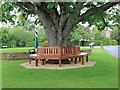 Diamond Jubilee Bench