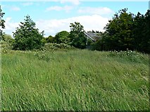 SU1586 : Pickard's Small Field, Gorse Hill, Swindon (3) by Brian Robert Marshall
