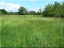 SU1586 : Pickard's Small Field, Gorse Hill, Swindon (6) by Brian Robert Marshall