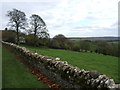 Pasture in Cold Ashton