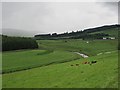 Cattle, Crawfordjohn