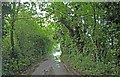 A damp Latteridge Lane