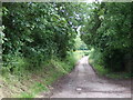 Byway heading out of Newton Bromswold