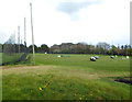 Lakeside golf club driving range near Margam