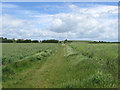 Bridleway to Lower Hoddern Farm