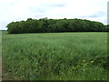 Farmland towards Garrett Spinney