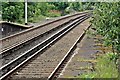 Bunny on the loose, Bootle Oriel Road Railway Station