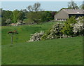 Farmland near Thorpe Satchville