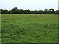 Farmland near Denford