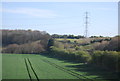 Farmland and pylon