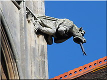 TL4557 : Gargoyle on The Church of Our Lady and the English Martyrs, Cambridge by Meirion