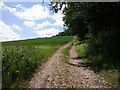 The Wansdyke heading west