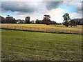 View from Stourhead House