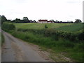 Haultwick Hall seen from the road from Rush Green