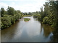 Grassy eyot in the River Usk, Usk