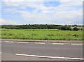 Fields east of A614