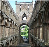 NT6520 : Jedburgh Abbey by James Denham