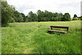 Bench and path through Castle Meadow