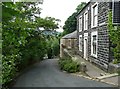 Houses, Scarr Head Road, Norland