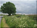 Looking towards Mill Farm