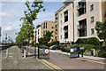 Isle of  Dogs:  Thames Path at Maritime Quay