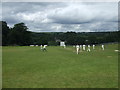 Compstall Cricket Club