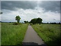 SE6045 : Path to Selby by DS Pugh