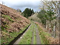 On the Wye Valley Walk