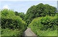 2012 : Clay Lane on the Mendips