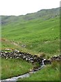 NY4215 : Anonymous beck falling through drystone wall by Christine Johnstone