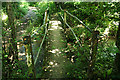 Chetnole: footbridge over Wriggle River