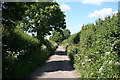 Chetnole: Back Lane near Charing Cross