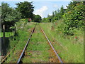 Rheilffordd ger croesfan y Maes - Railway near y Maes crossing