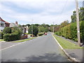 The Lane - viewed from Old Barn Close