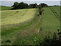 Path to East Meon