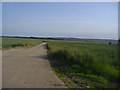 Entrance to Ulehams farm, North Fambridge