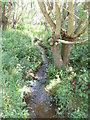 Stream - off Buck Stone Road