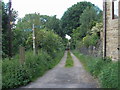 Footpath to Delph End