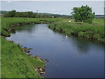 SD8257 : The River Ribble near Cow Bridge by philandju