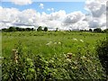 Tullanafoile Townland