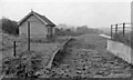 Tollesbury station (remains)