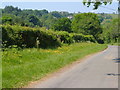 Lane to Old Rectory Cross