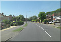 Collington Avenue north of Collington Wood