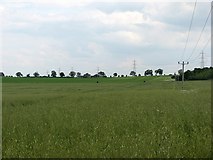 TL5762 : Over fields to Cadenham Farm by John Sutton