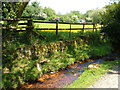 Stream near Ensworthy