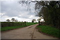 Farm track off Hornshill Rd