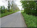 SP3729 : The road to Great Tew by Michael Dibb